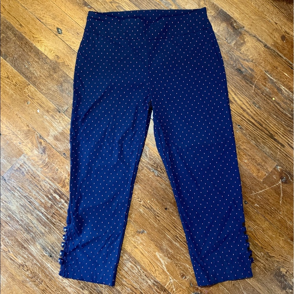 NWOT Attyre NY Jeweled Capri Pants